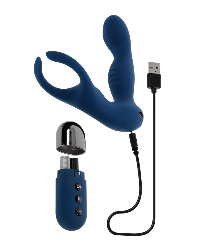 Anal Evolved Novelties INC Zero Tolerance By All Means Prostate Vibrator wRemote Control Blue Anal Evolved Novelties INC Zero Tolerance By All Means Prostate Vibrator wRemote Control Blue