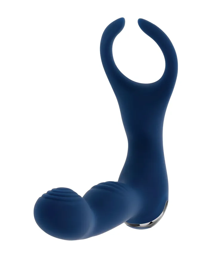 Anal Evolved Novelties INC Zero Tolerance By All Means Prostate Vibrator wRemote Control Blue Anal Evolved Novelties INC Zero Tolerance By All Means Prostate Vibrator wRemote Control Blue