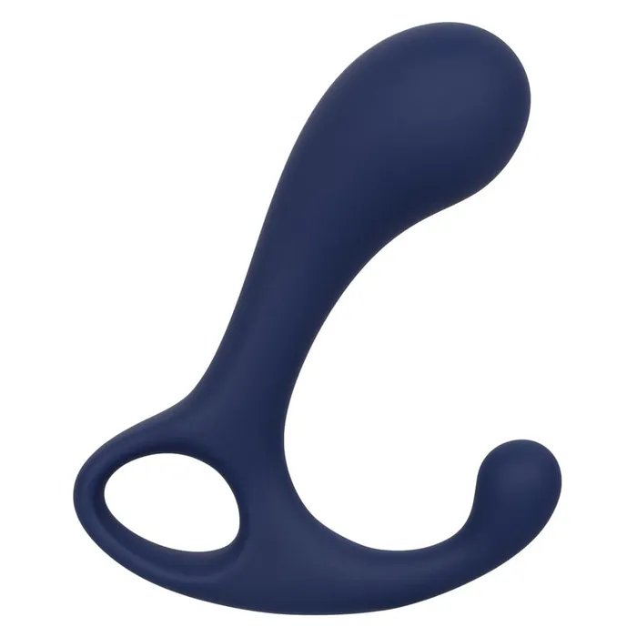 Anal Viceroy Direct Probe CalExotics