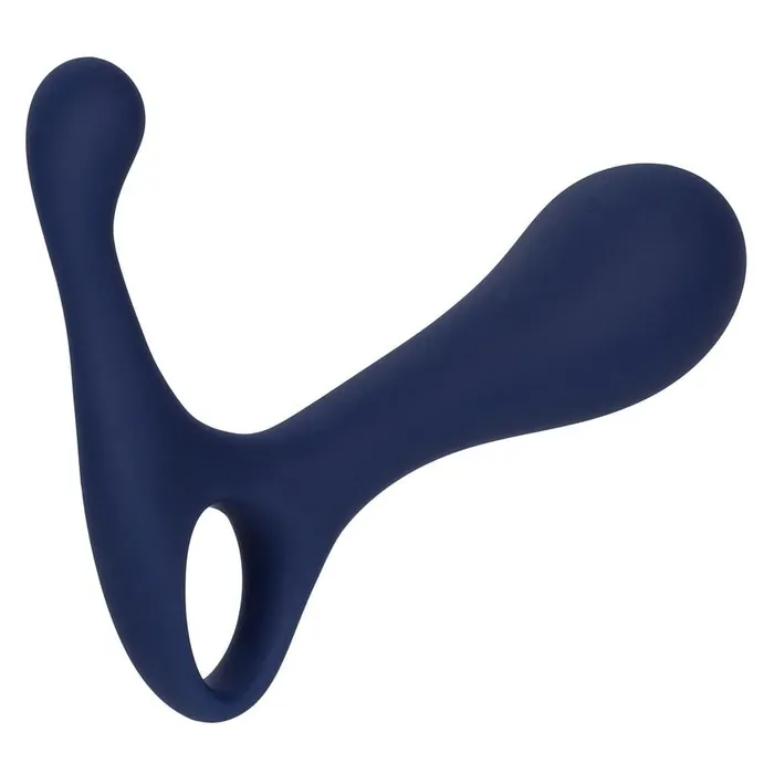 Anal Viceroy Direct Probe CalExotics