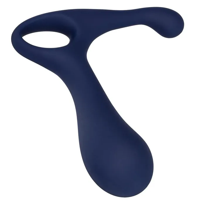 Anal Viceroy Direct Probe CalExotics