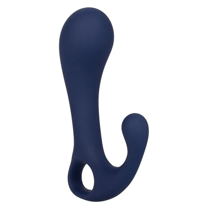 Anal Viceroy Direct Probe CalExotics