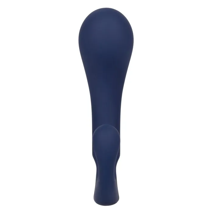 Anal Viceroy Direct Probe CalExotics